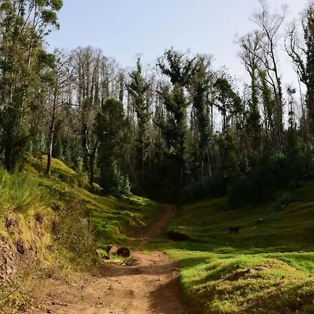 Casa Da Fonte Dos Castanheiros *