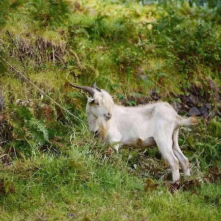 Casa Da Fonte Dos Castanheiros Apartamento *