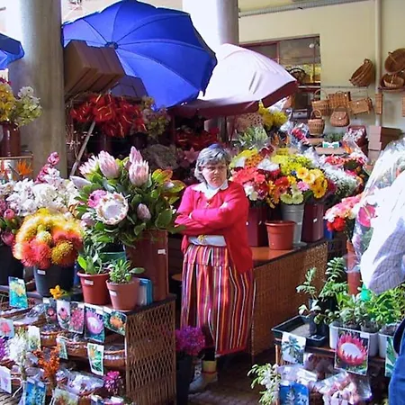 Apartamento Casa Da Fonte Dos Castanheiros
