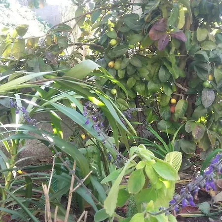 Casa Da Fonte Dos Castanheiros Apartamento *