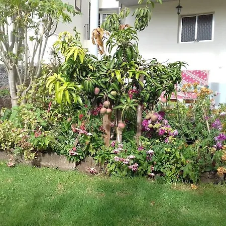 Casa Da Fonte Dos Castanheiros * Estreito Da Calheta