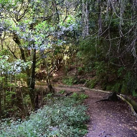 Apartamento Casa Da Fonte Dos Castanheiros
