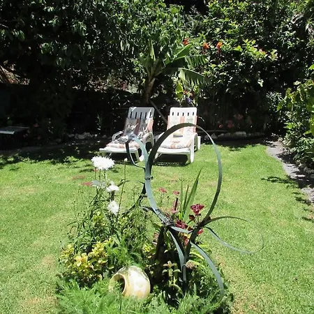 Casa Da Fonte Dos Castanheiros Estreito Da Calheta