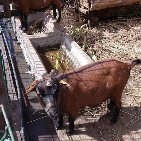 Casa Da Fonte Dos Castanheiros *