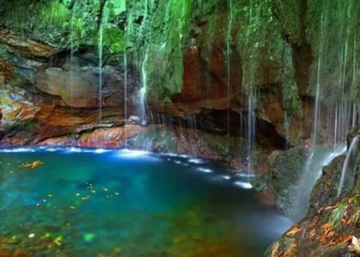 Апартаменты Casa Da Fonte Dos Castanheiros