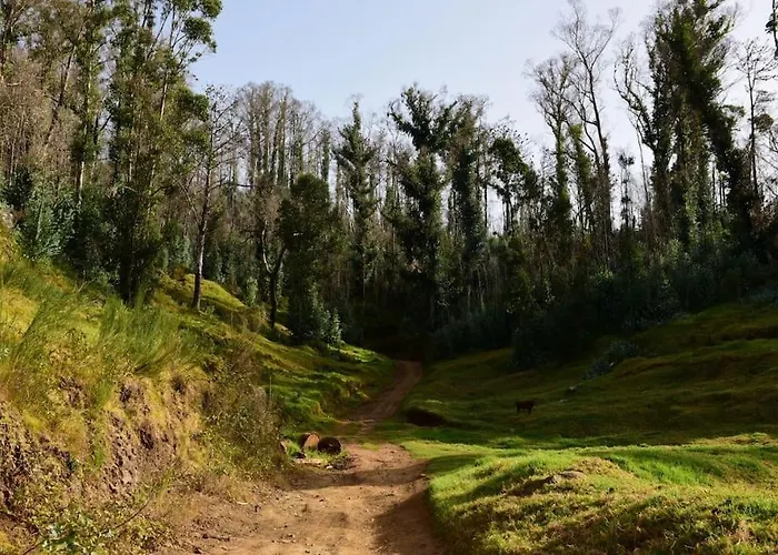 Casa Da Fonte Dos Castanheiros *