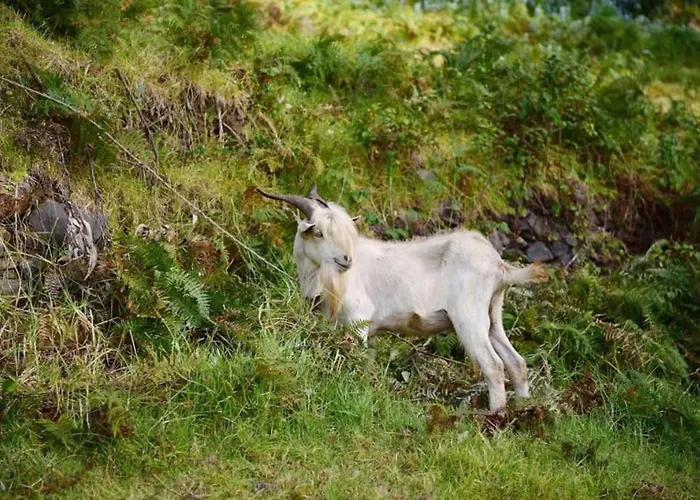 Casa Da Fonte Dos Castanheiros Апартаменты *