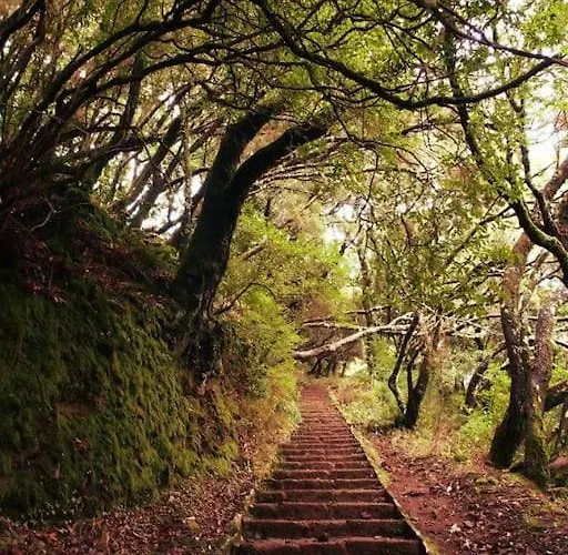 Casa Da Fonte Dos Castanheiros * Estreito Da Calheta