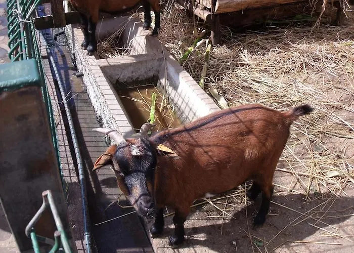 Casa Da Fonte Dos Castanheiros *