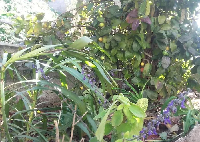 Casa Da Fonte Dos Castanheiros Апартаменты *