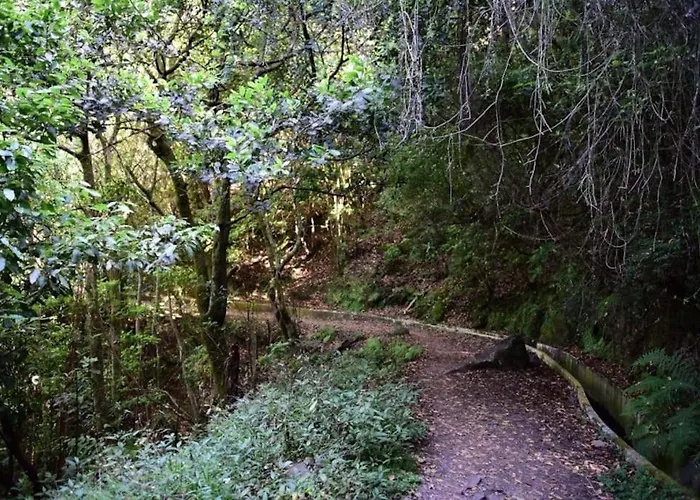 Апартаменты Casa Da Fonte Dos Castanheiros