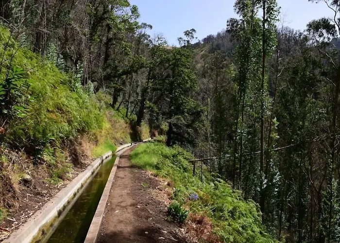 Casa Da Fonte Dos Castanheiros Апартаменты